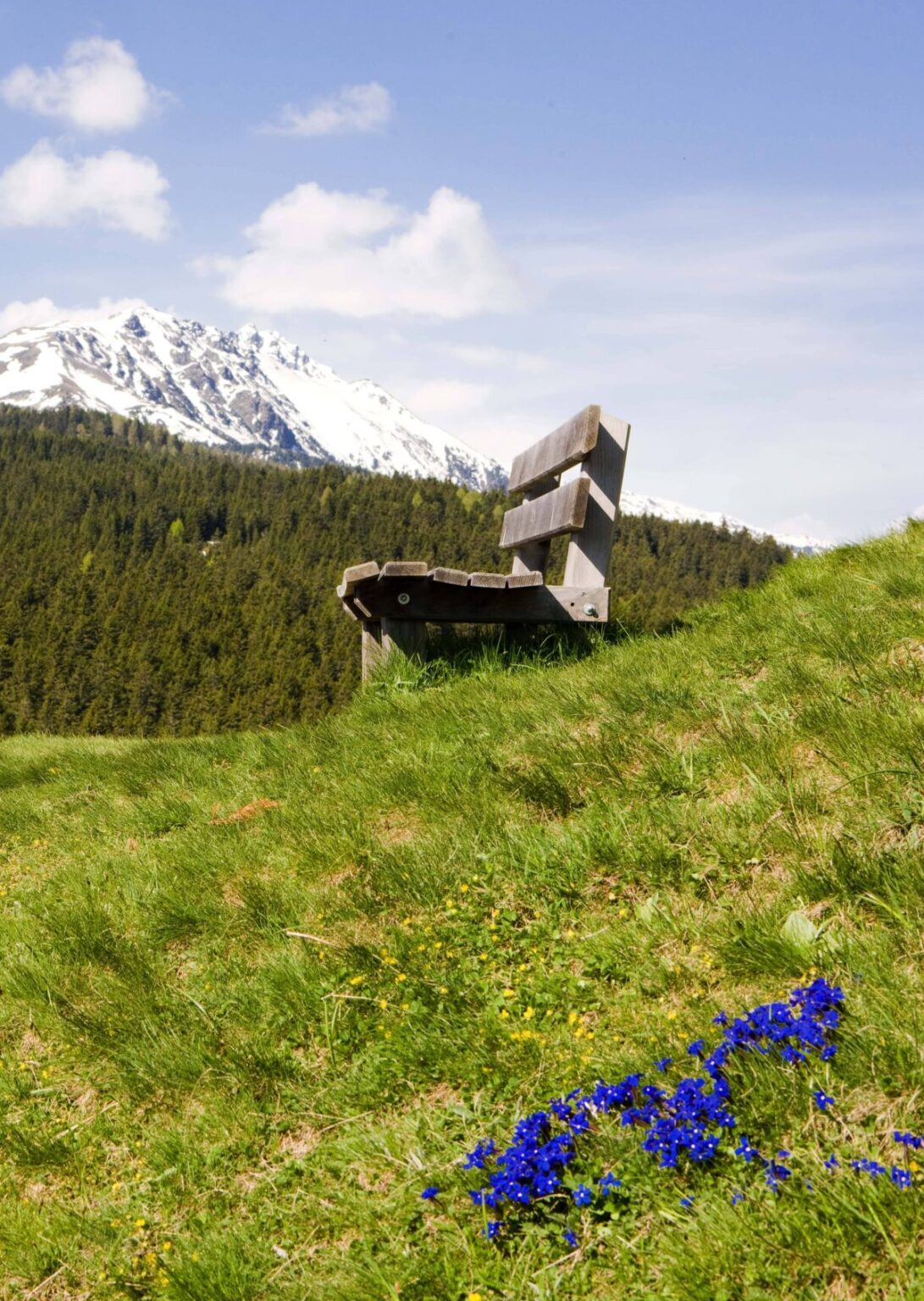 2009 05 vigiljoch vigilius mountain resort spring ©georgtappeiner (36)