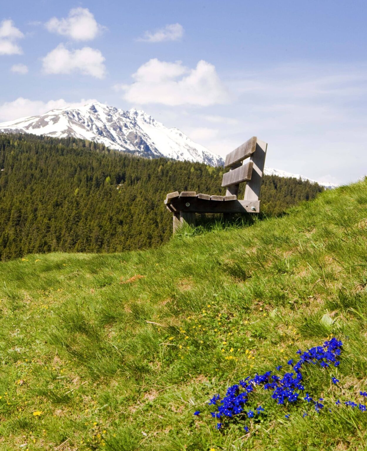 2009 05 vigiljoch vigilius mountain resort spring ©georgtappeiner (36)
