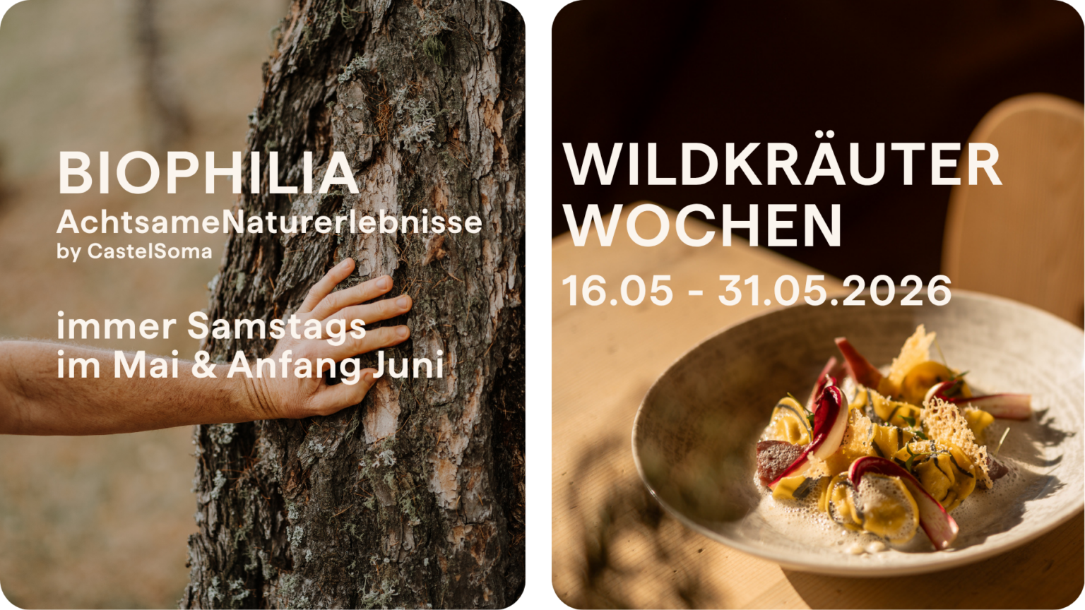 Home Wildkr. & Biophilia (2)