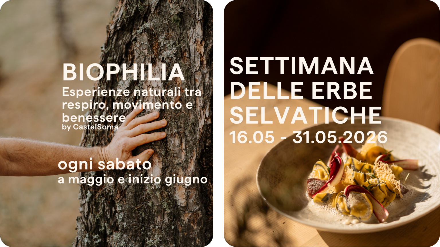 Ita Home Wildkr. & Biophilia